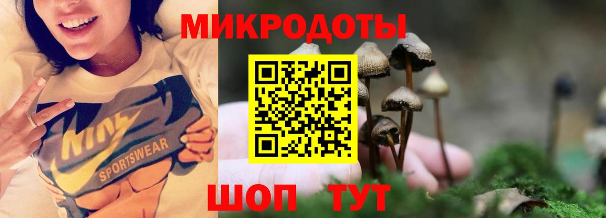 Псилоцибиновые грибы прущие грибы Норильск